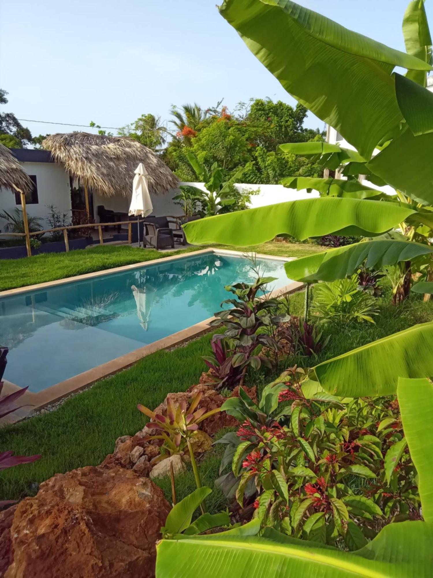 Bungalows Colibri Las Galeras Eksteriør billede
