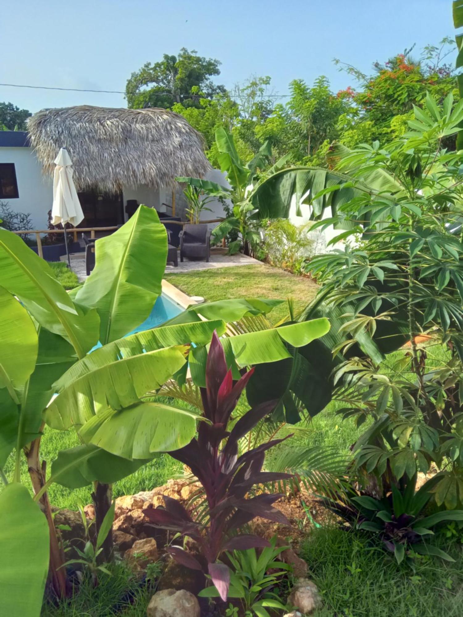 Bungalows Colibri Las Galeras Eksteriør billede